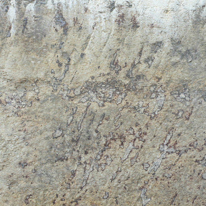 best floor scrubber for concrete