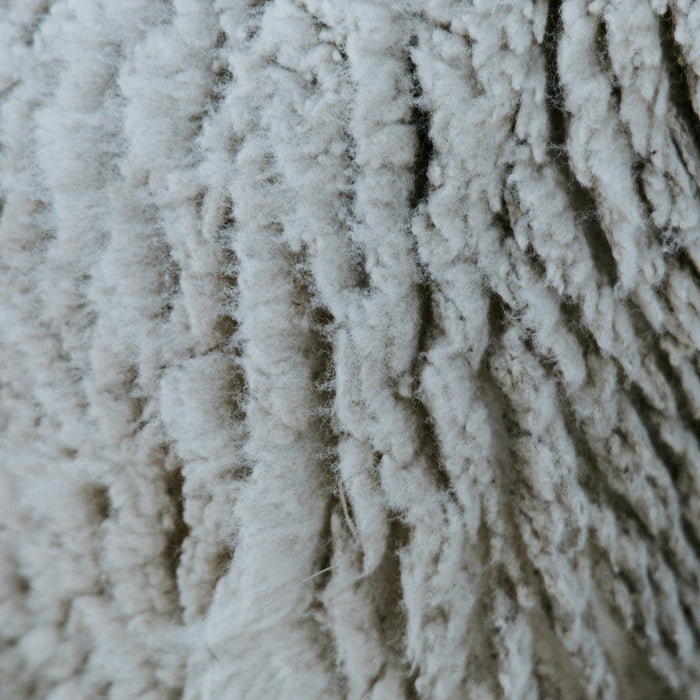 How to Remove Mold From Carpets