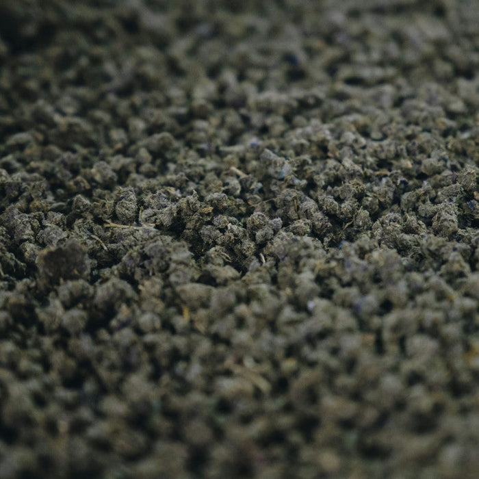 How to Use a Carpet Extractor