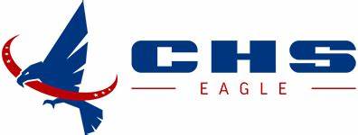 CHS Eagle- Carbon Fiber High Dusting Systems - SweepScrub.com
