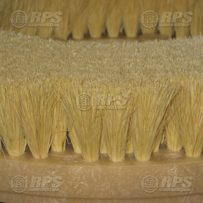 FactoryCat/Tomcat 13-421T, Brush,Tampico,13"