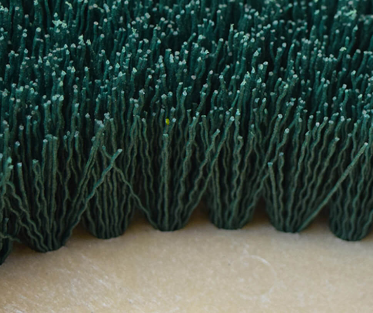 Malish Mal-Grit Scrub™ Rotary Grit Brushes, Includes Pre-Installed NP-9200 Clutch Plate, 120 Grit