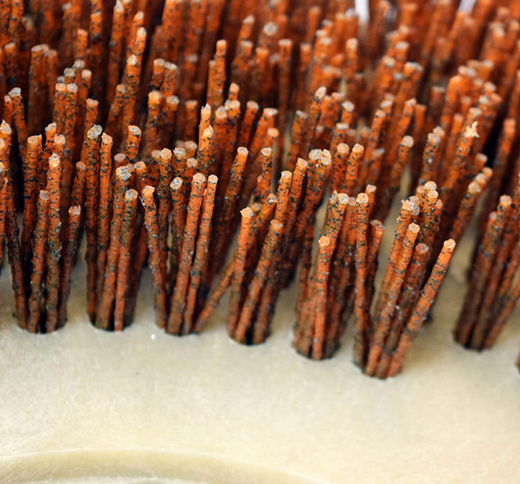 Malish Mal-Grit Xtra™ Rotary Grit Brushes, Includes Pre-Installed NP-9200 Clutch Plate, 46 Grit