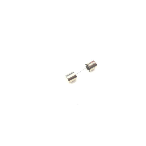 Onyx W10491 Glass Fuse - 6a, 5x20 OEM Part