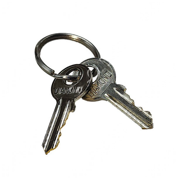 ICE 8114754 | Spare Key, (Walk Behind) (I20B,I20NB,I20NBT,I24BT,I32BT,I36BT)..Set of two