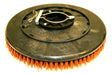 ssflo-36883318